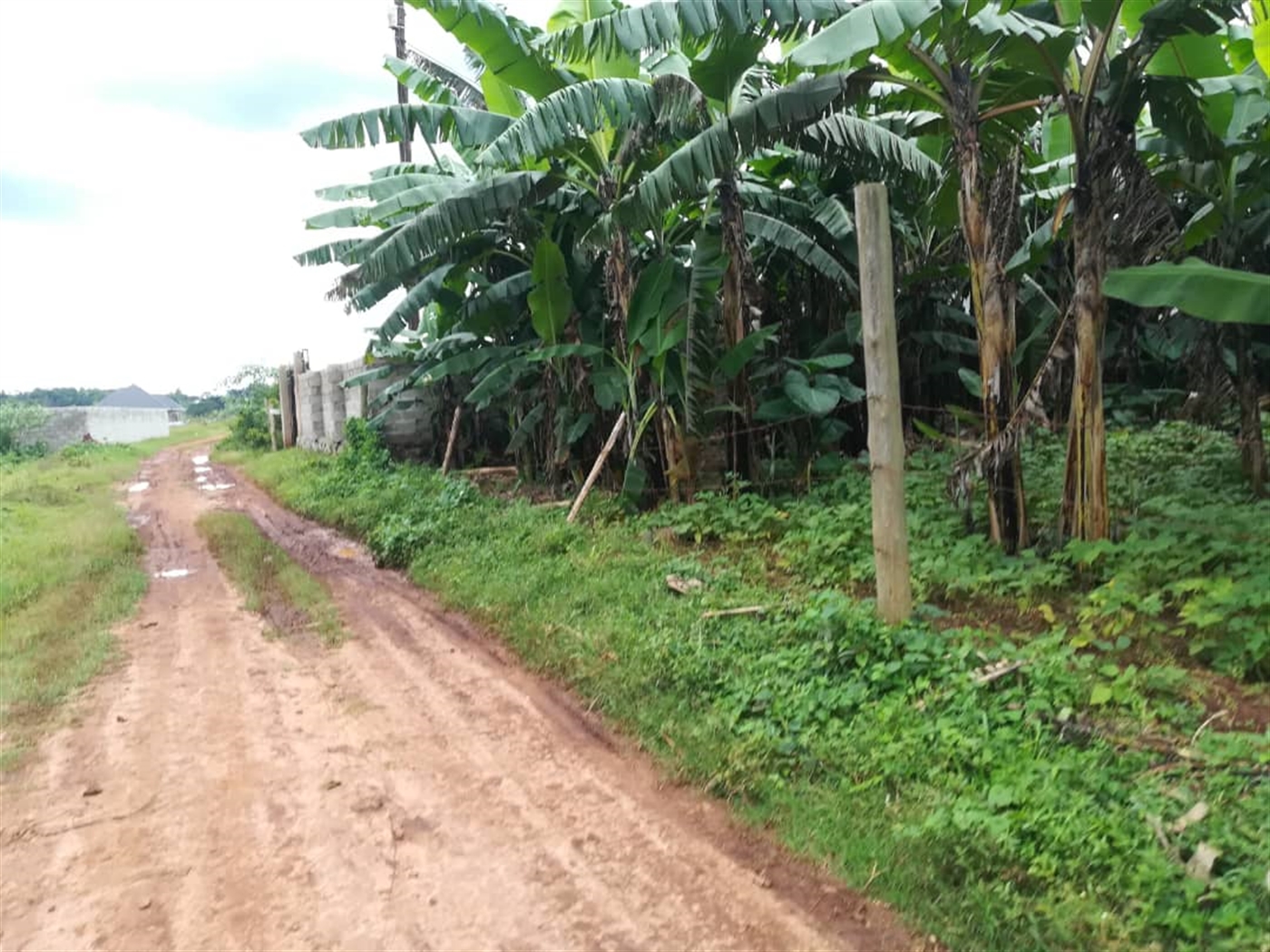 Residential Land for sale in Nabuuti Mukono