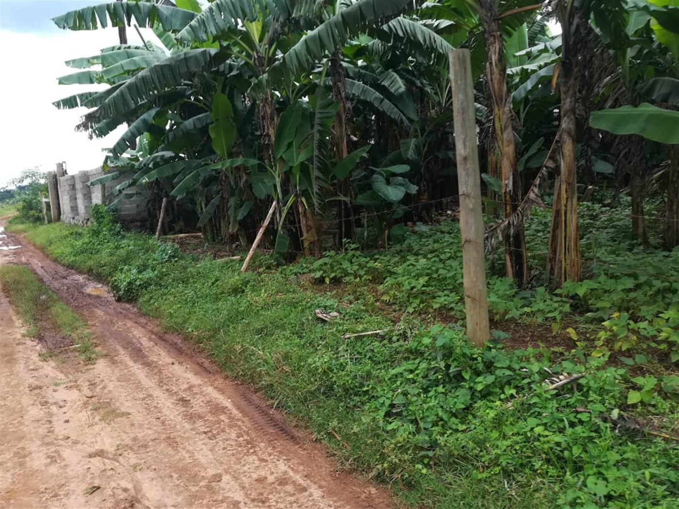 Residential Land for sale in Nabuuti Mukono