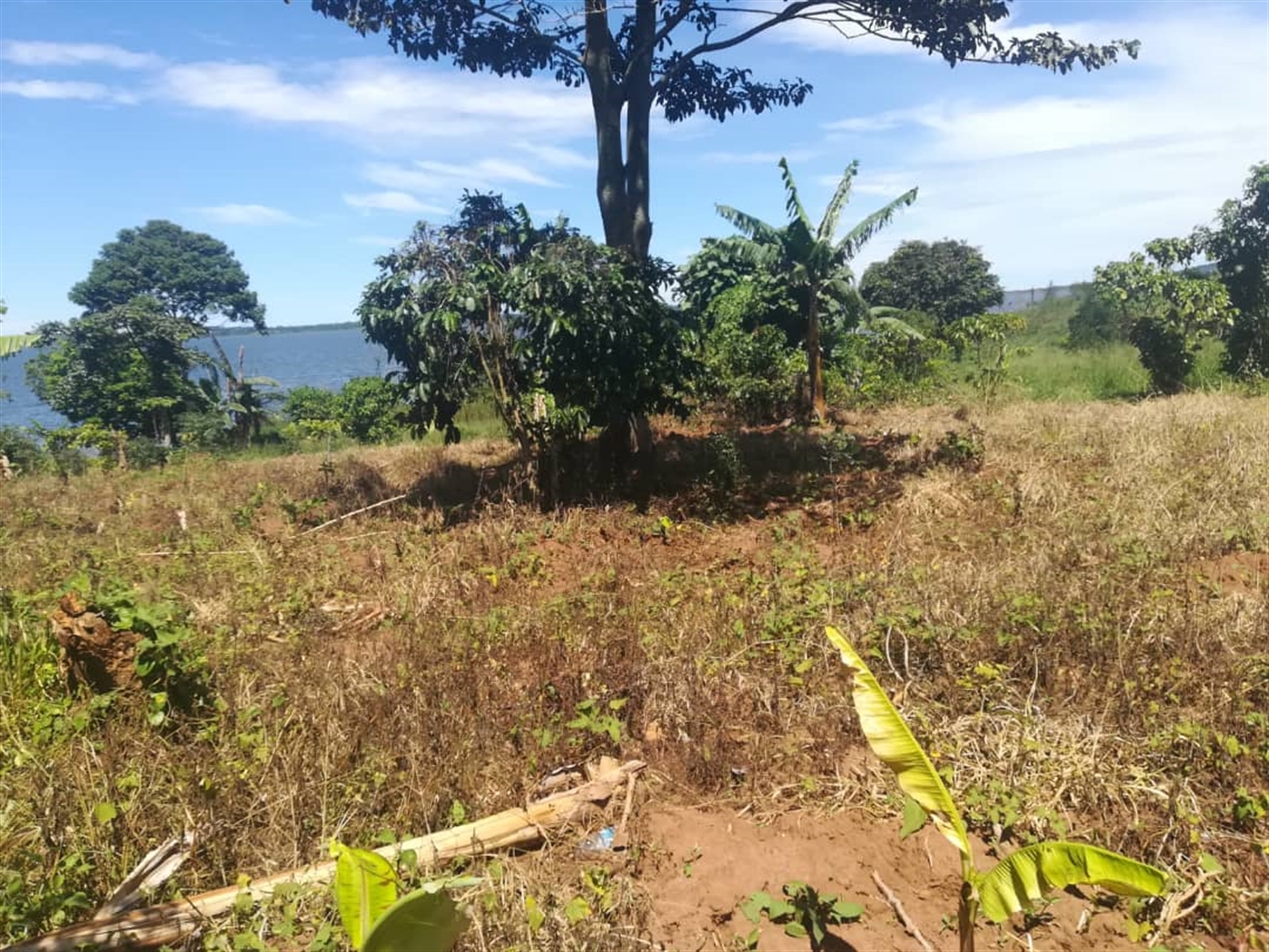 Commercial Land for sale in Mpata Mukono