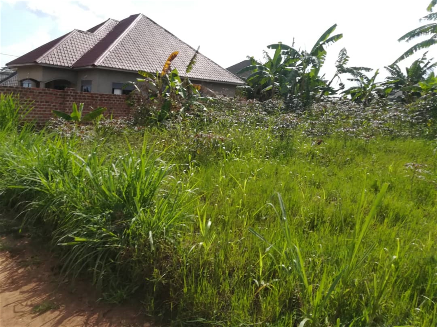 Residential Land for sale in Kyetume Mukono