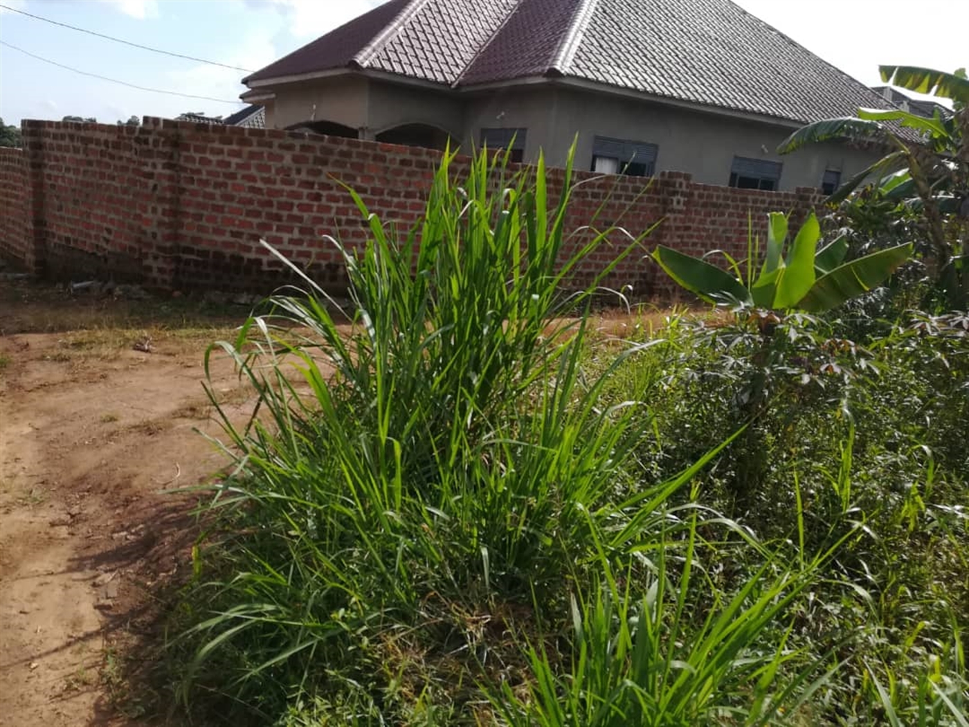 Residential Land for sale in Kyetume Mukono