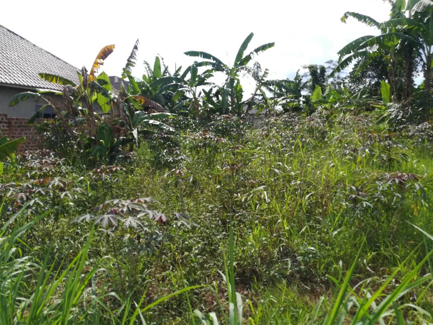 Residential Land for sale in Kyetume Mukono