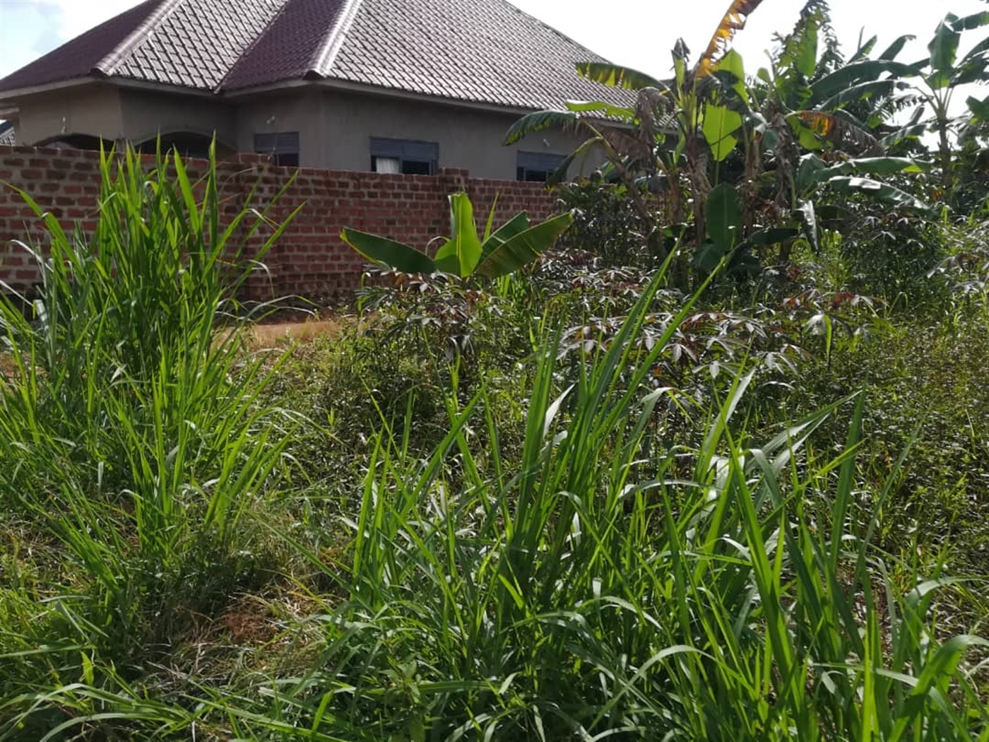 Residential Land for sale in Kyetume Mukono