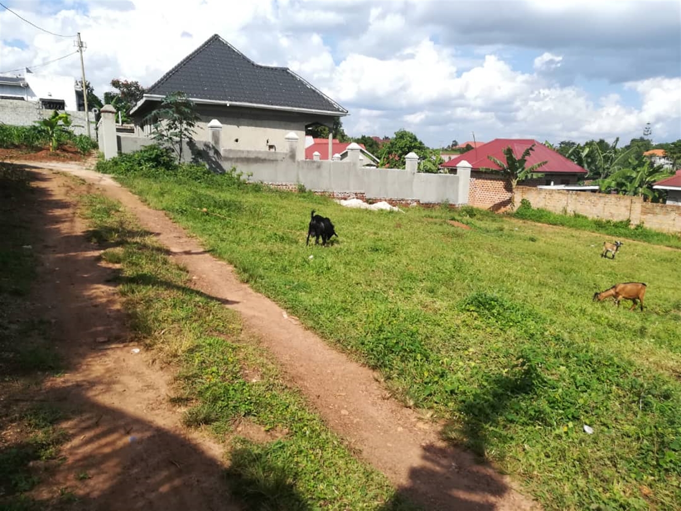 Residential Land for sale in Kyetume Mukono