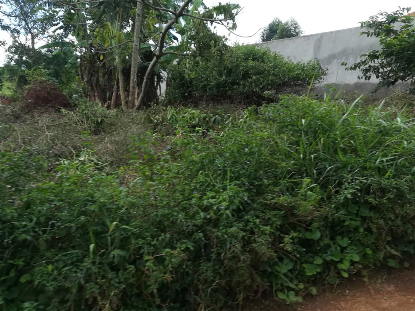 Residential Land for sale in Kyetume Mukono