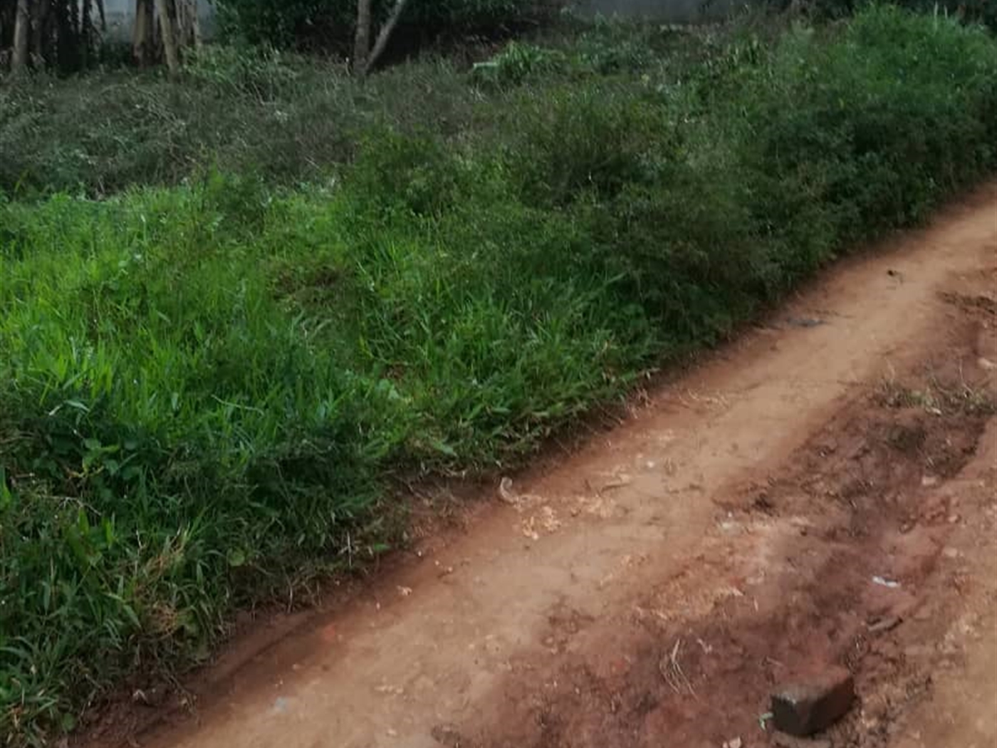 Residential Land for sale in Kyetume Mukono