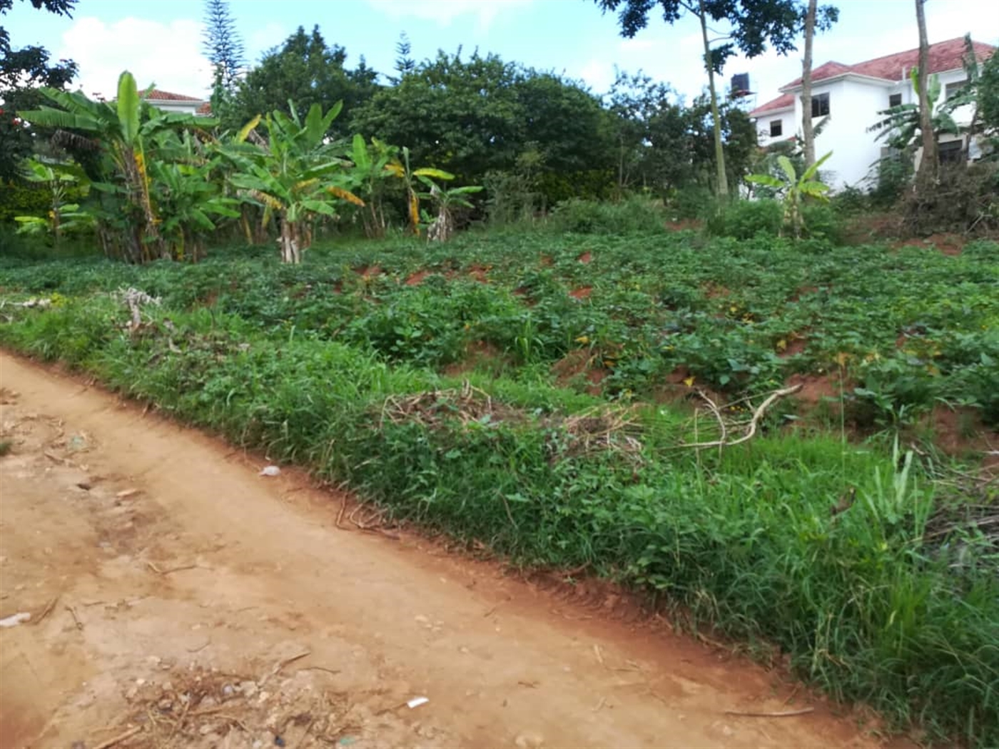 Residential Land for sale in Kyetume Mukono