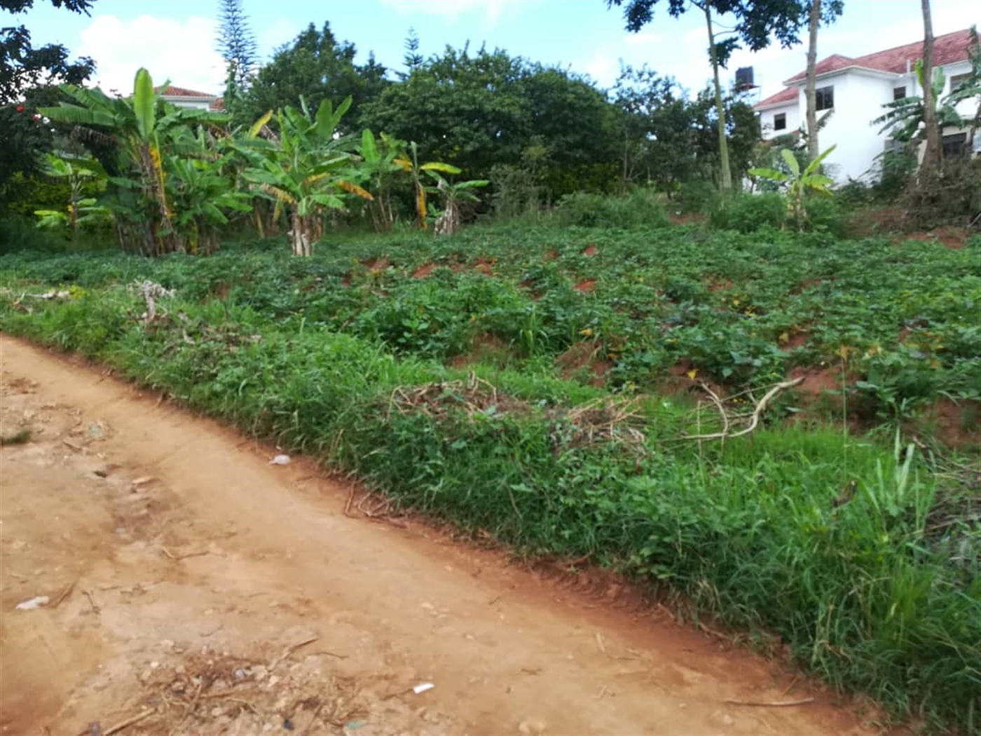 Residential Land for sale in Kyetume Mukono