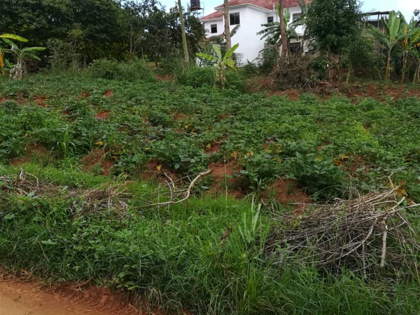 Residential Land for sale in Kyetume Mukono