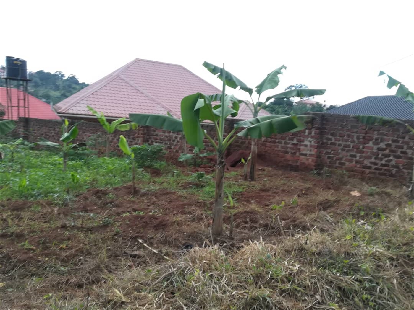 Residential Land for sale in Kyetume Mukono