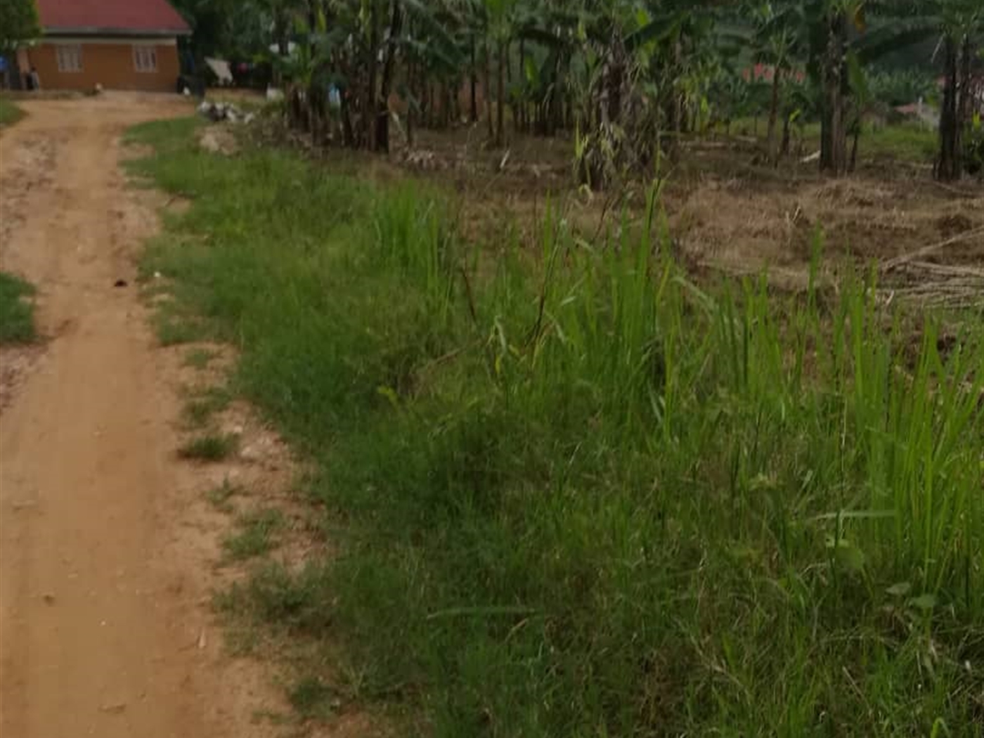 Residential Land for sale in Kyetume Mukono