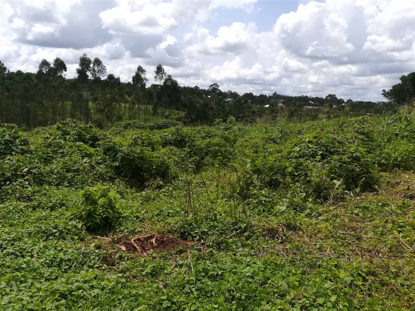 Residential Land for sale in Kyetume Mukono