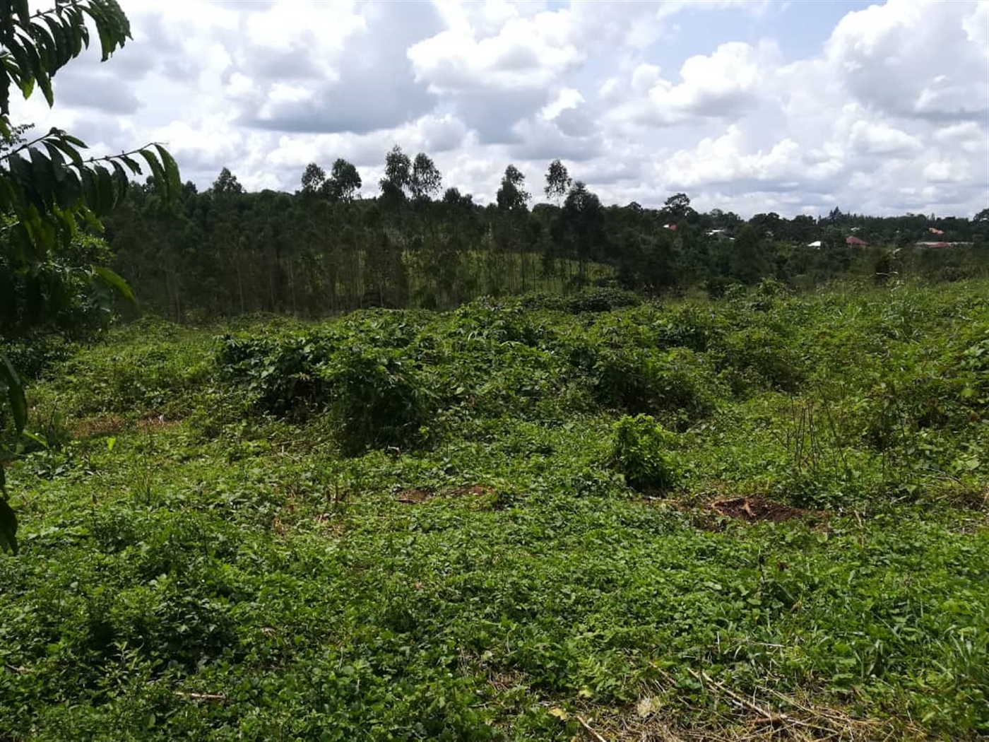 Residential Land for sale in Kyetume Mukono