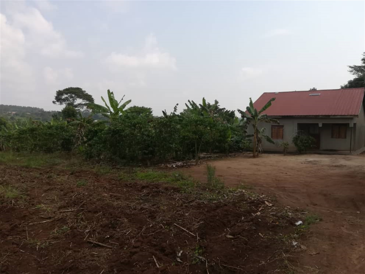 Residential Land for sale in Kyetume Mukono