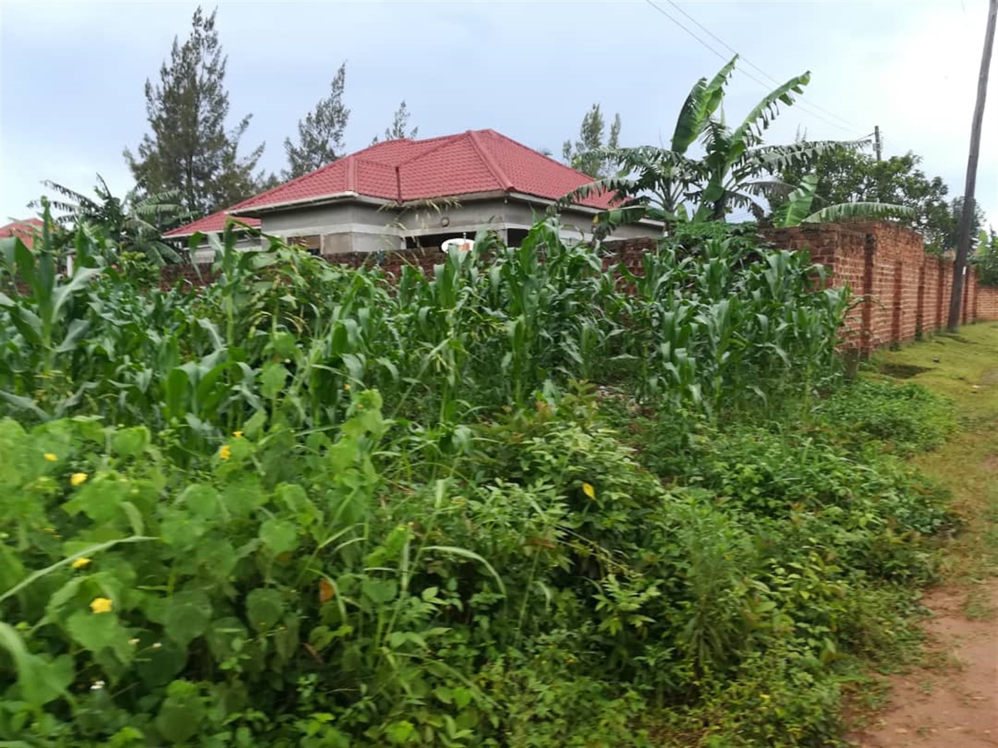 Residential Land for sale in Kisowela Mukono