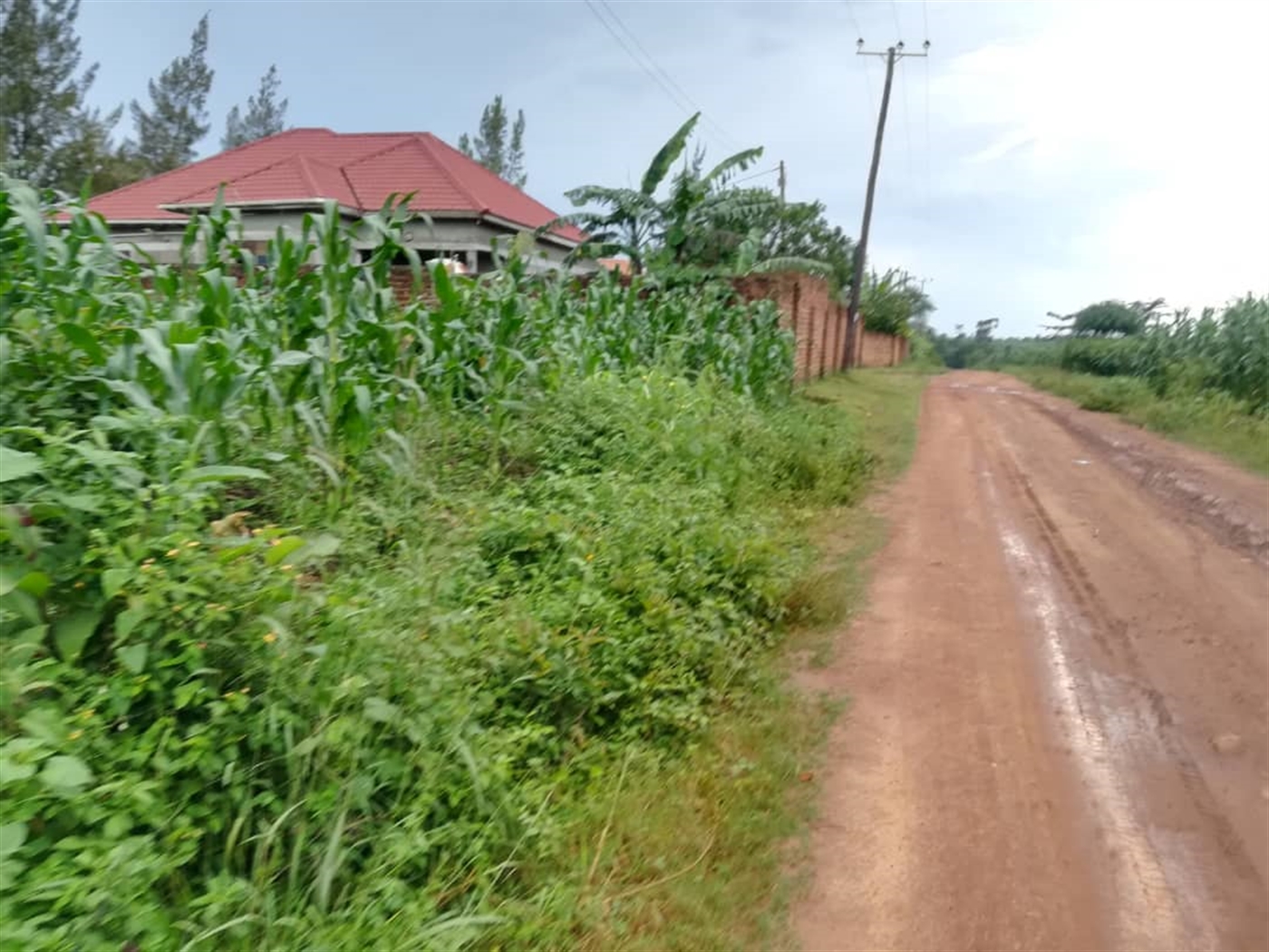 Residential Land for sale in Kisowela Mukono