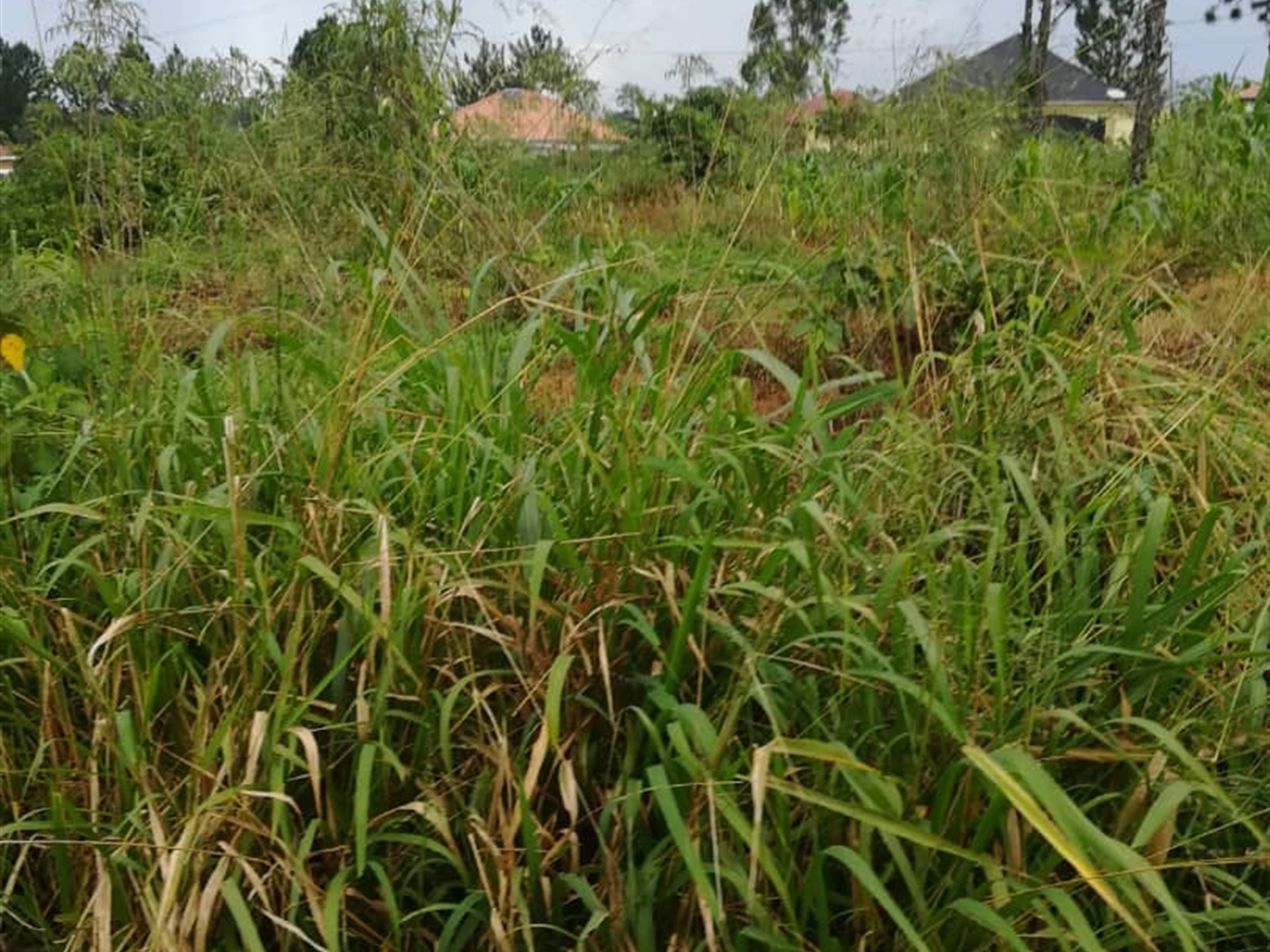 Residential Land for sale in Mpoma Mukono