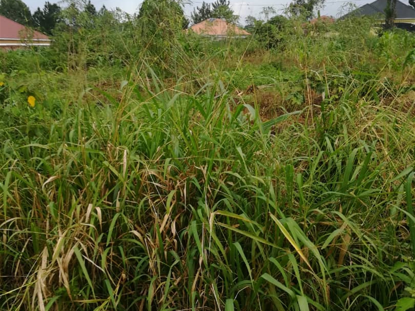 Residential Land for sale in Mpoma Mukono