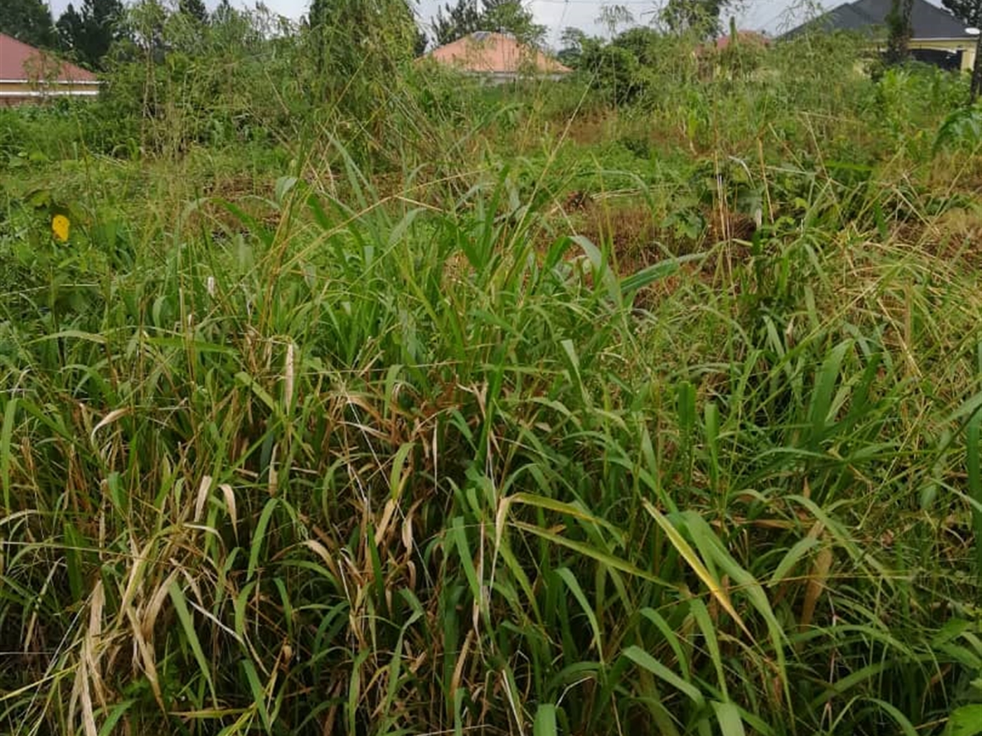 Residential Land for sale in Mpoma Mukono