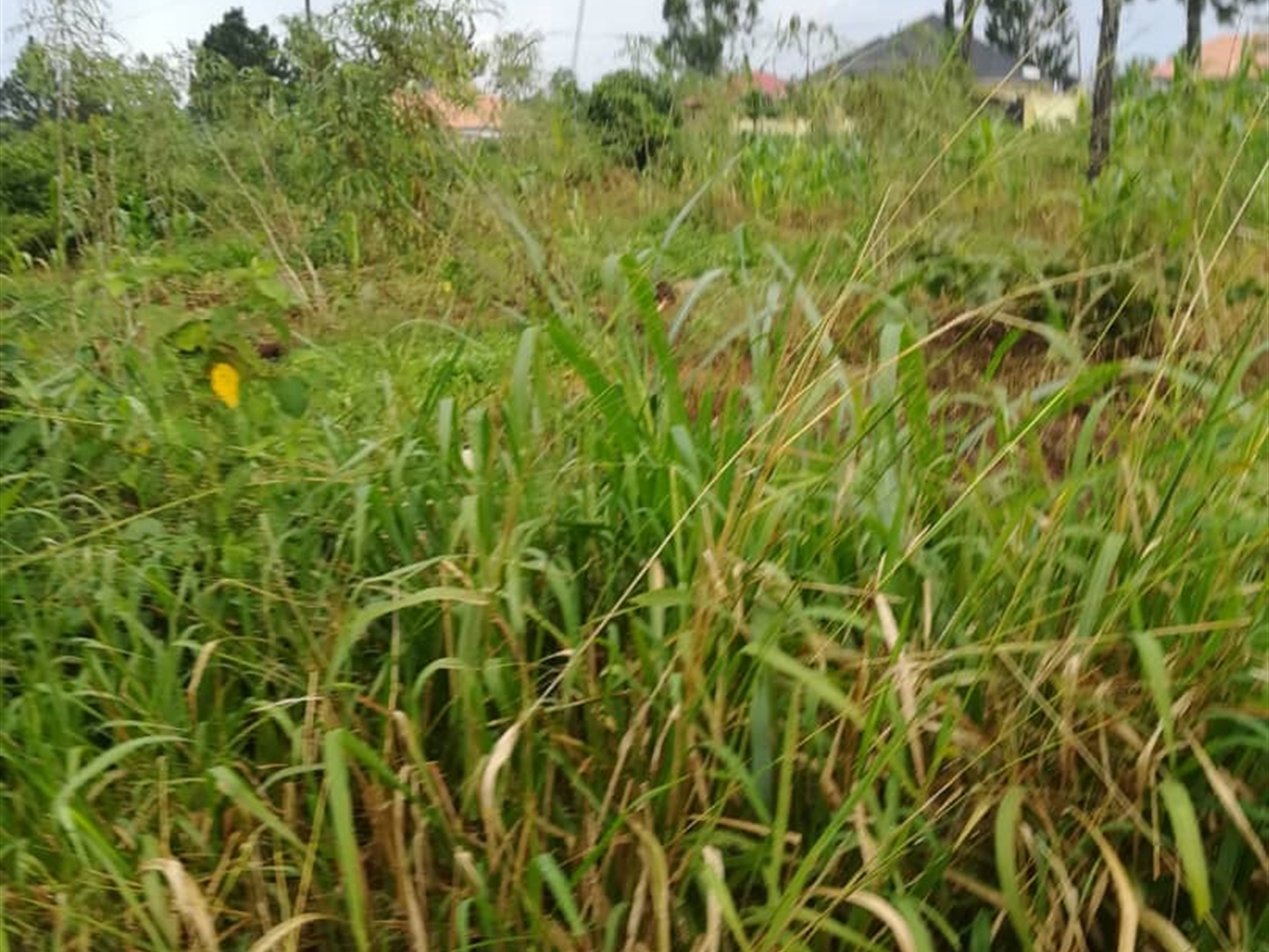 Residential Land for sale in Mpoma Mukono