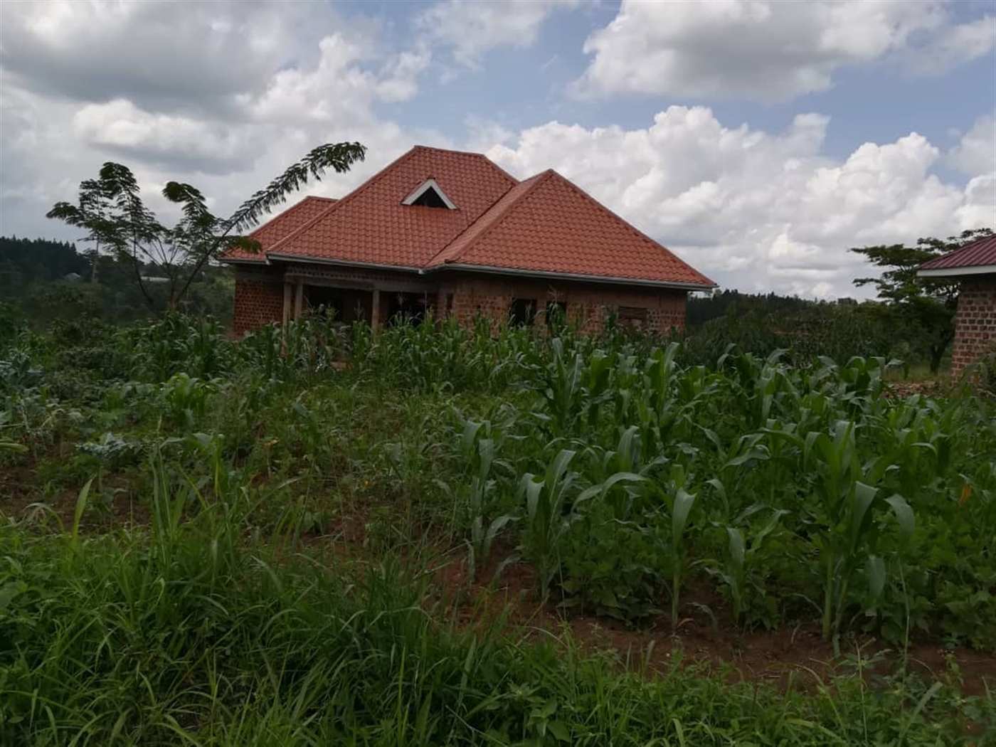 Residential Land for sale in Nsambwe Mukono