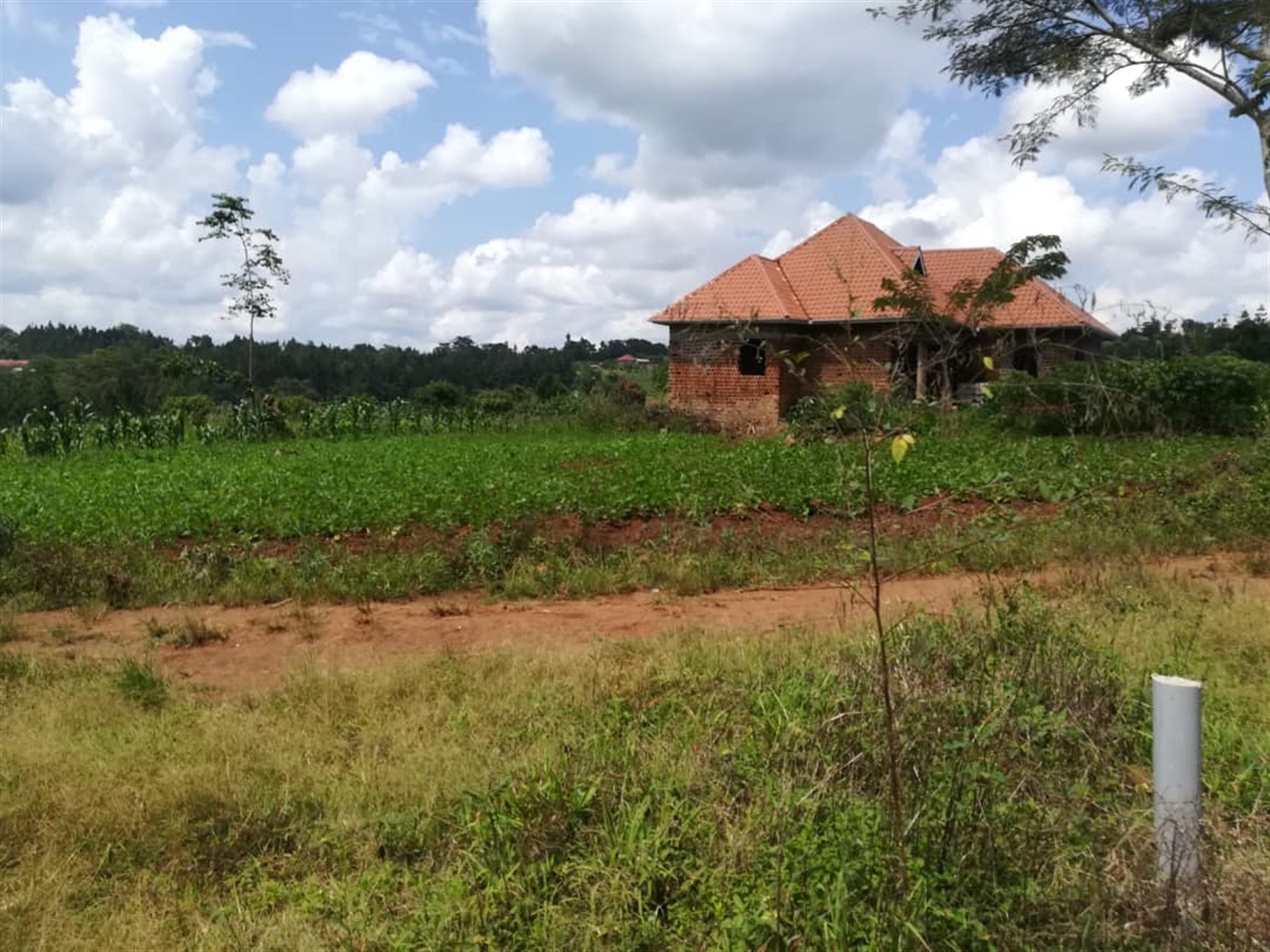 Residential Land for sale in Nsambwe Mukono