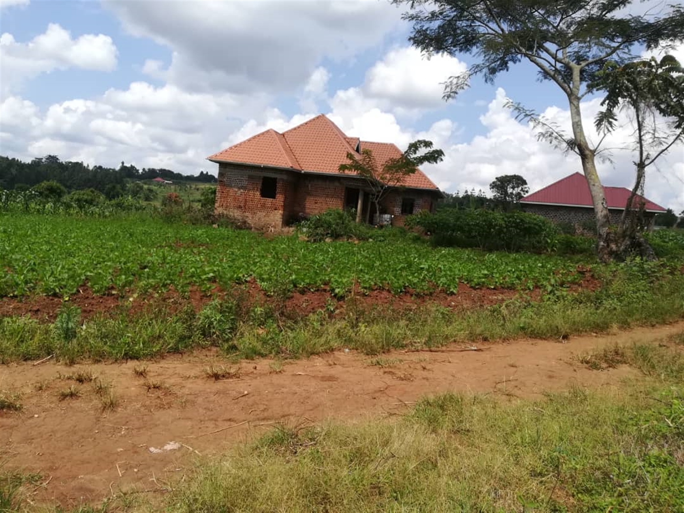 Residential Land for sale in Nsambwe Mukono