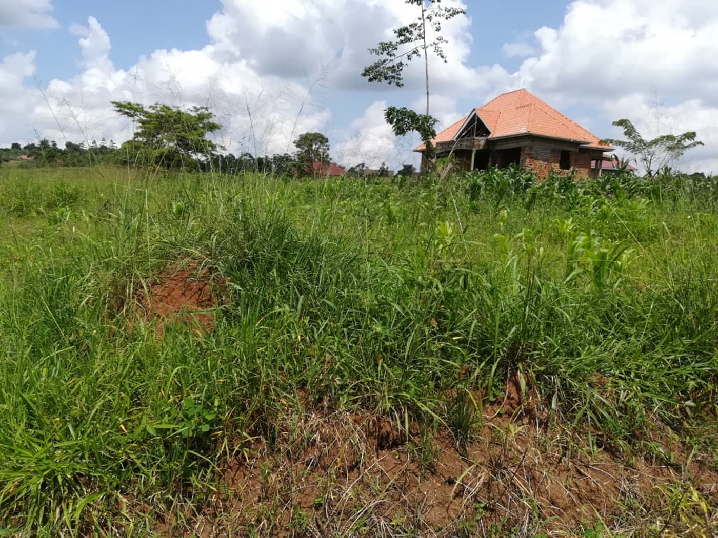 Residential Land for sale in Nsambwe Mukono