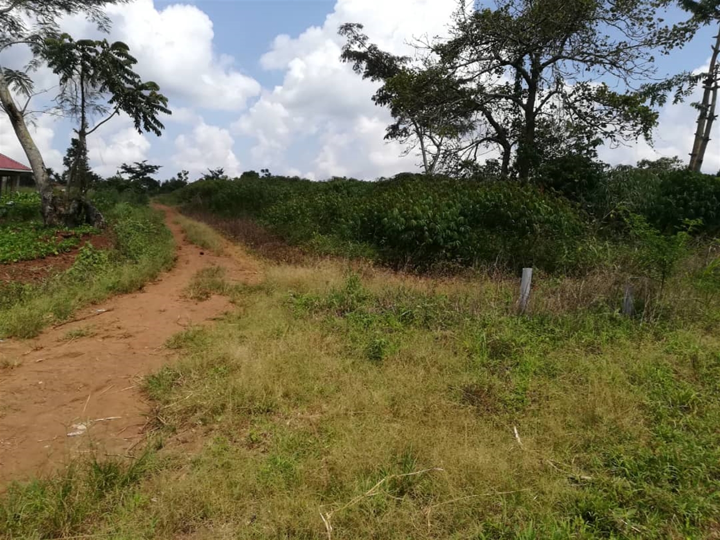 Residential Land for sale in Nsambwe Mukono