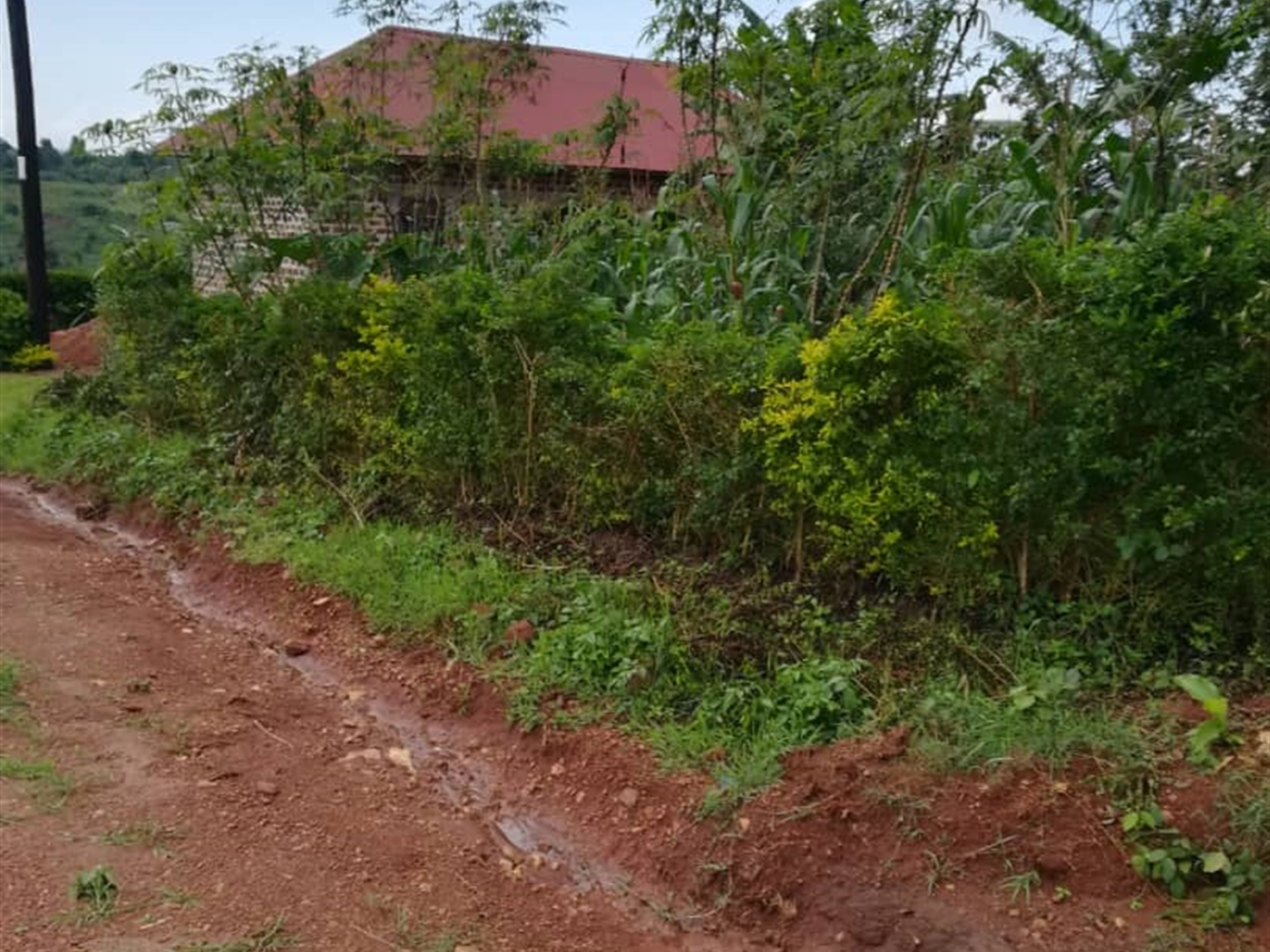 Residential Land for sale in Nsambwe Mukono