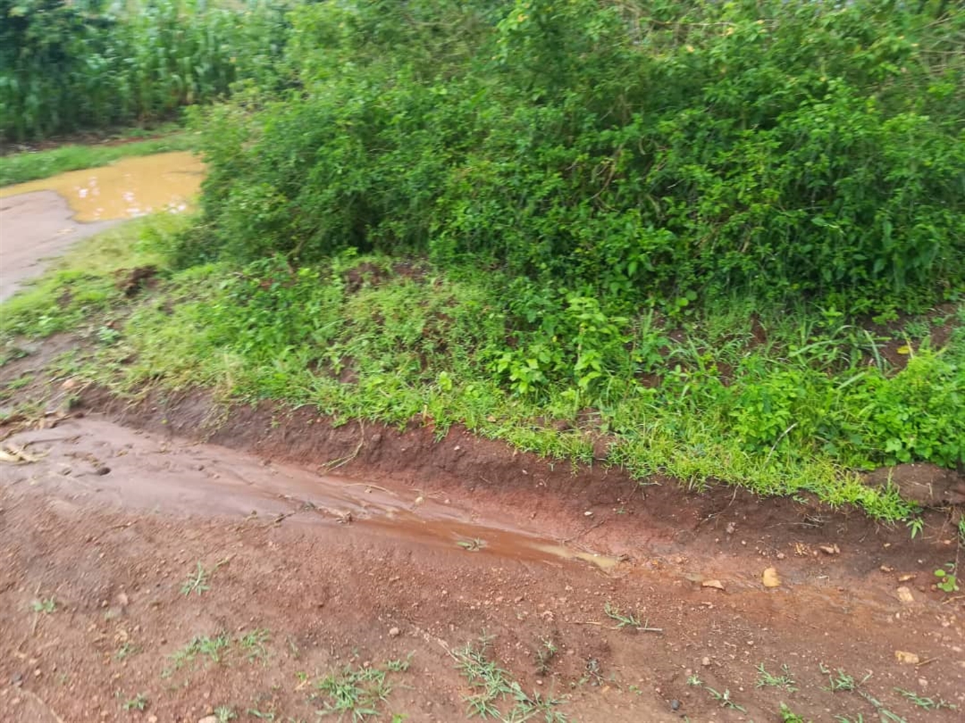 Residential Land for sale in Nsambwe Mukono