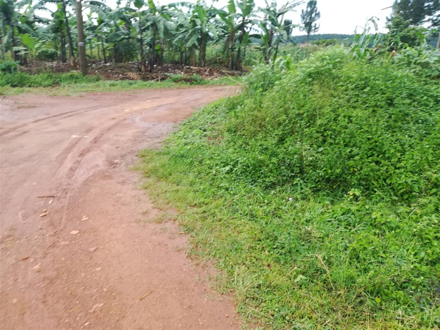 Residential Land for sale in Nsambwe Mukono