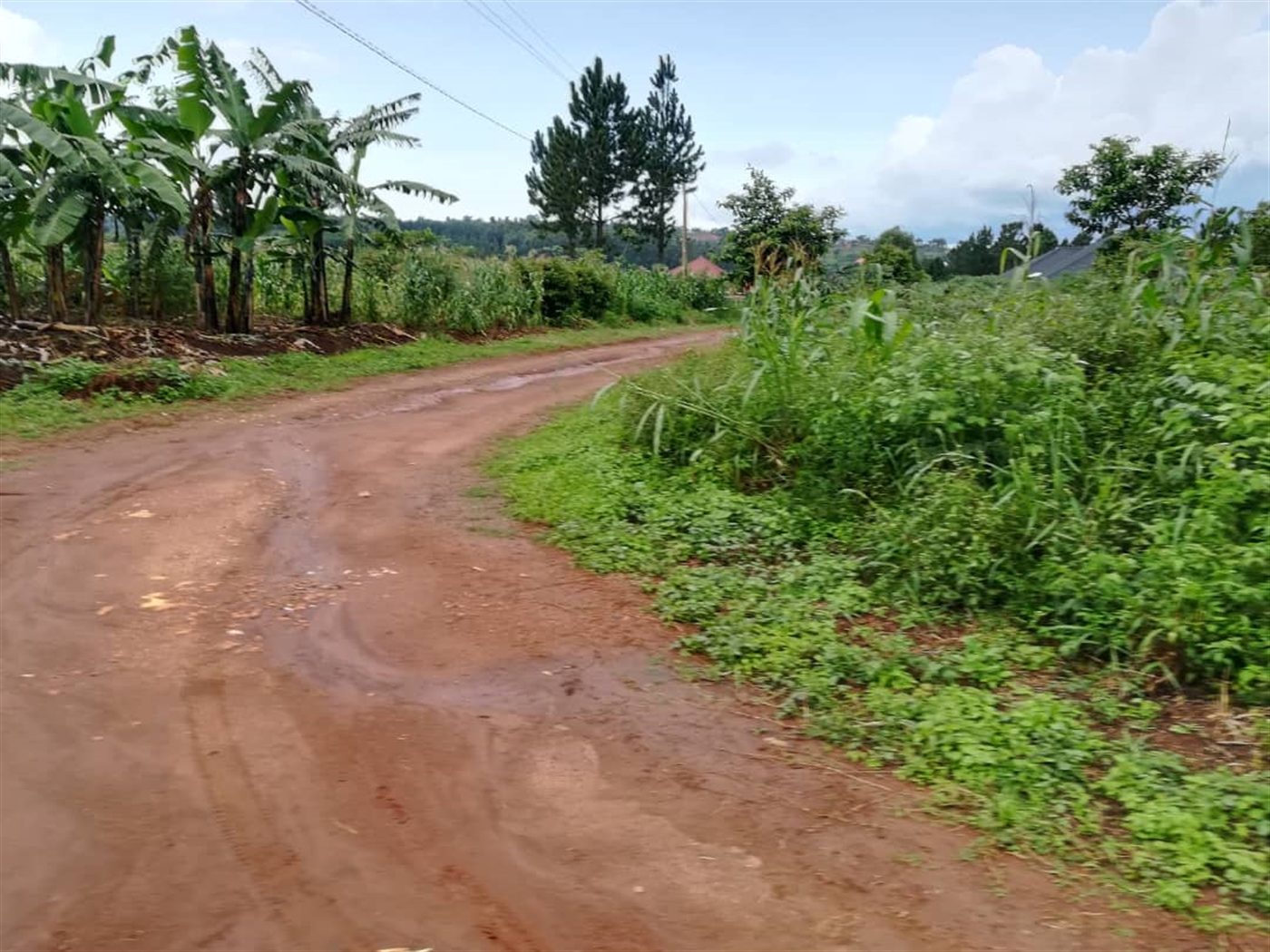 Residential Land for sale in Nsambwe Mukono