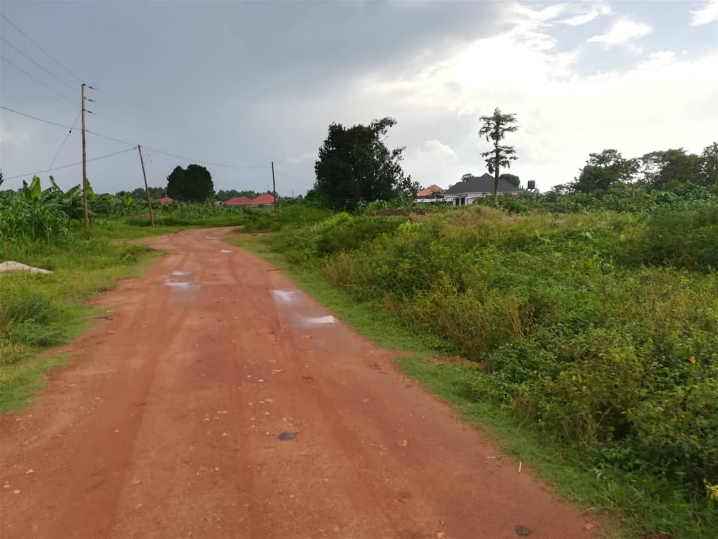 Residential Land for sale in Nsambwe Mukono