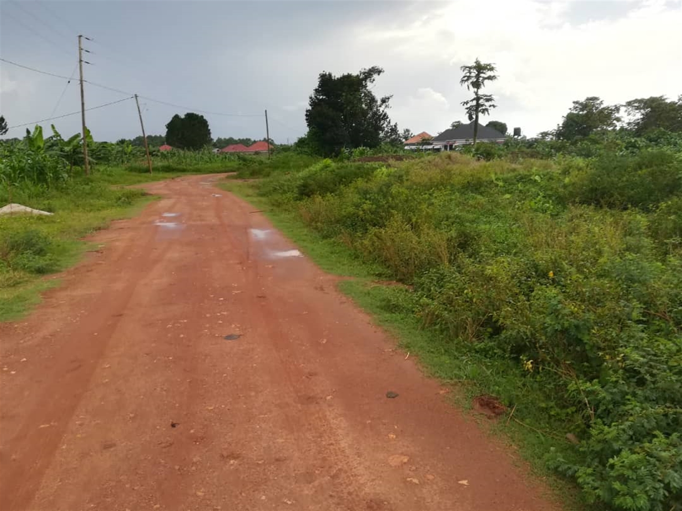 Residential Land for sale in Nsambwe Mukono