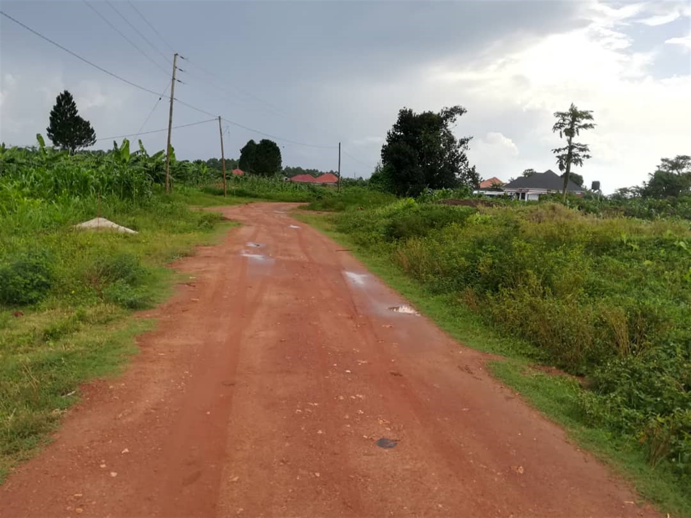 Residential Land for sale in Nsambwe Mukono