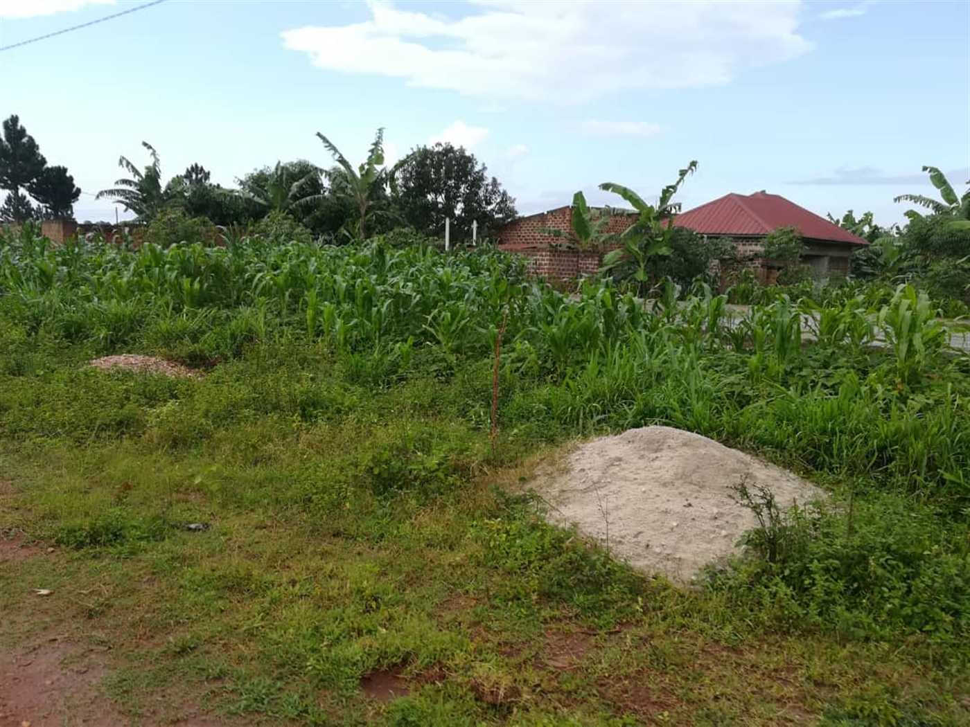 Residential Land for sale in Nsambwe Mukono