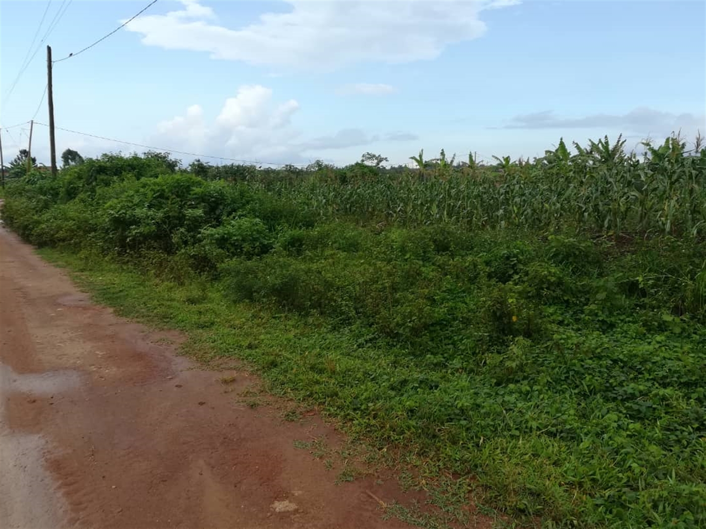 Residential Land for sale in Nsambwe Mukono