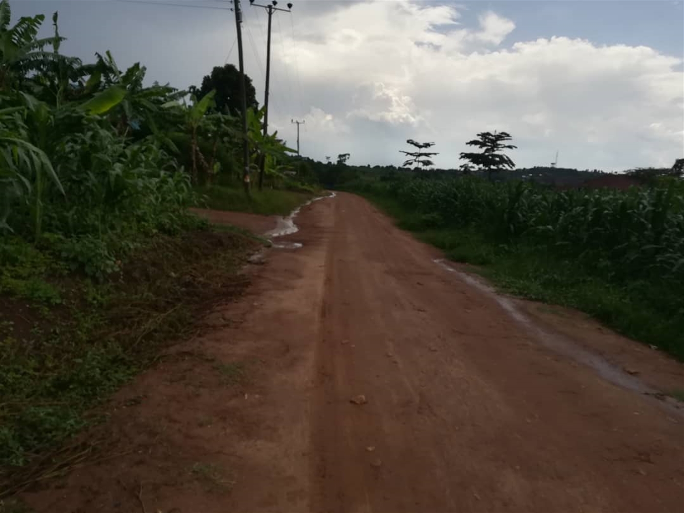 Residential Land for sale in Nsambwe Mukono