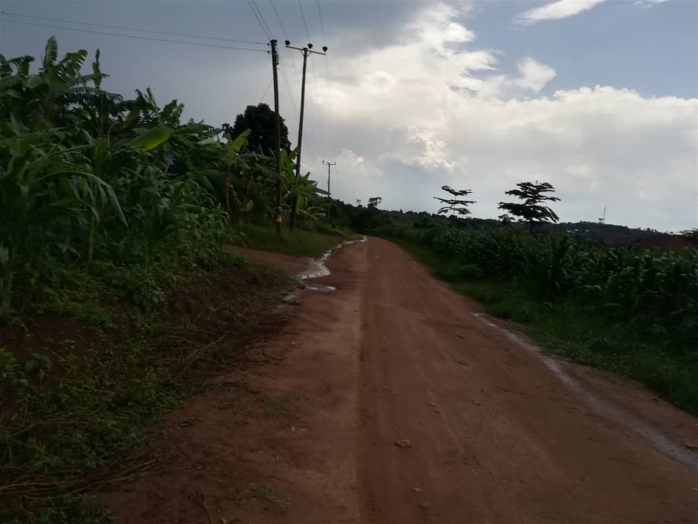 Residential Land for sale in Nsambwe Mukono