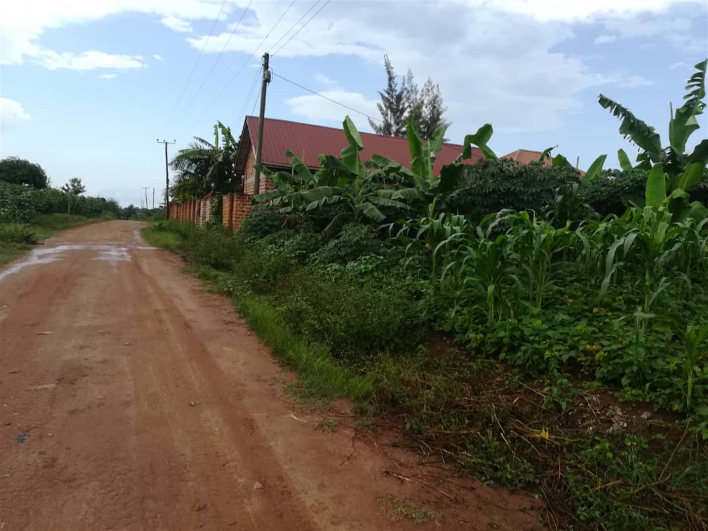 Residential Land for sale in Nsambwe Mukono