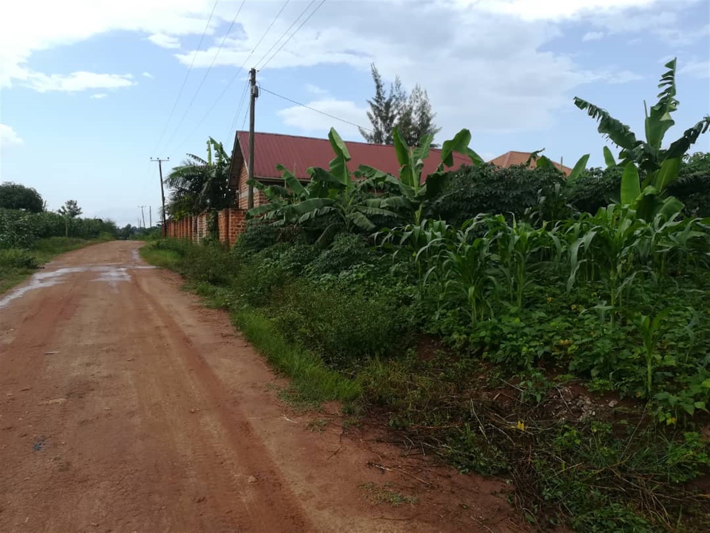 Residential Land for sale in Nsambwe Mukono