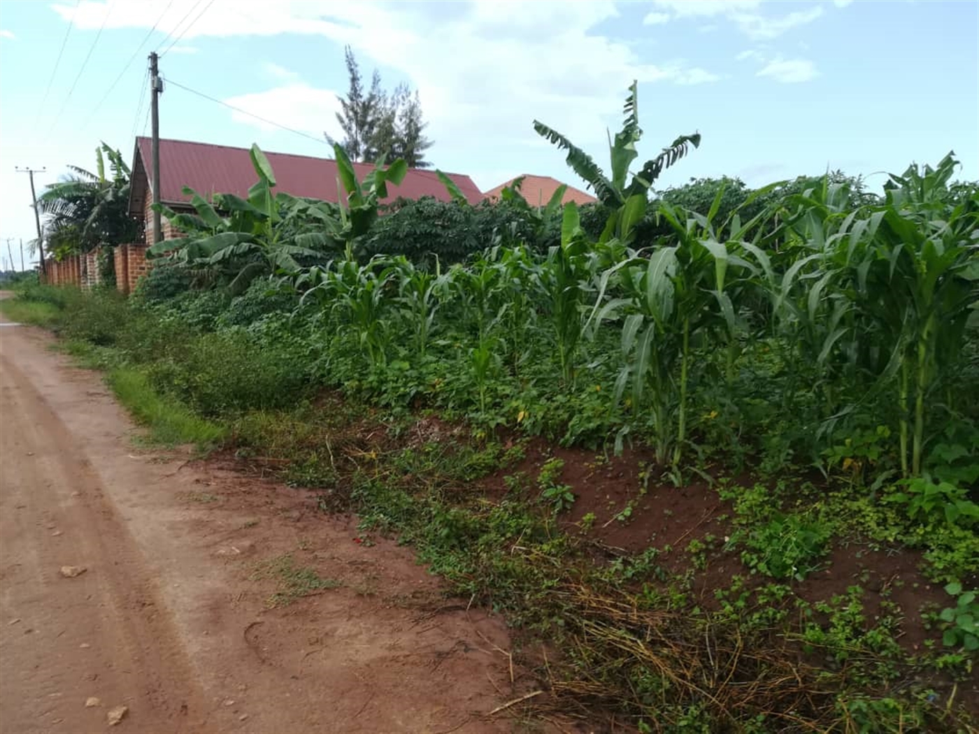 Residential Land for sale in Nsambwe Mukono