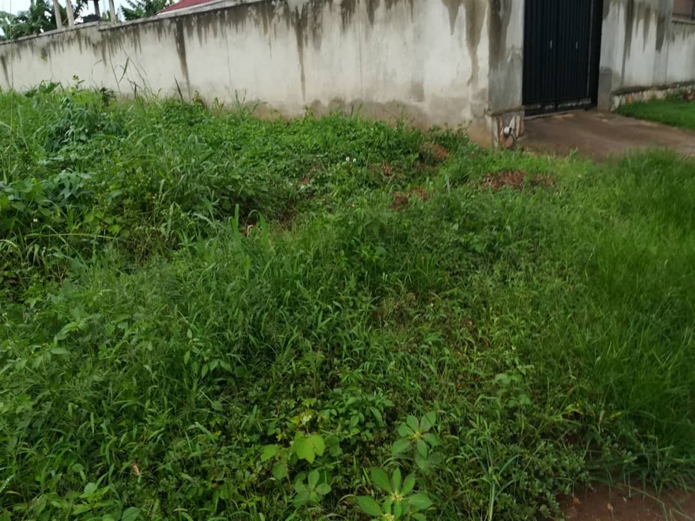 Residential Land for sale in Nsambwe Mukono