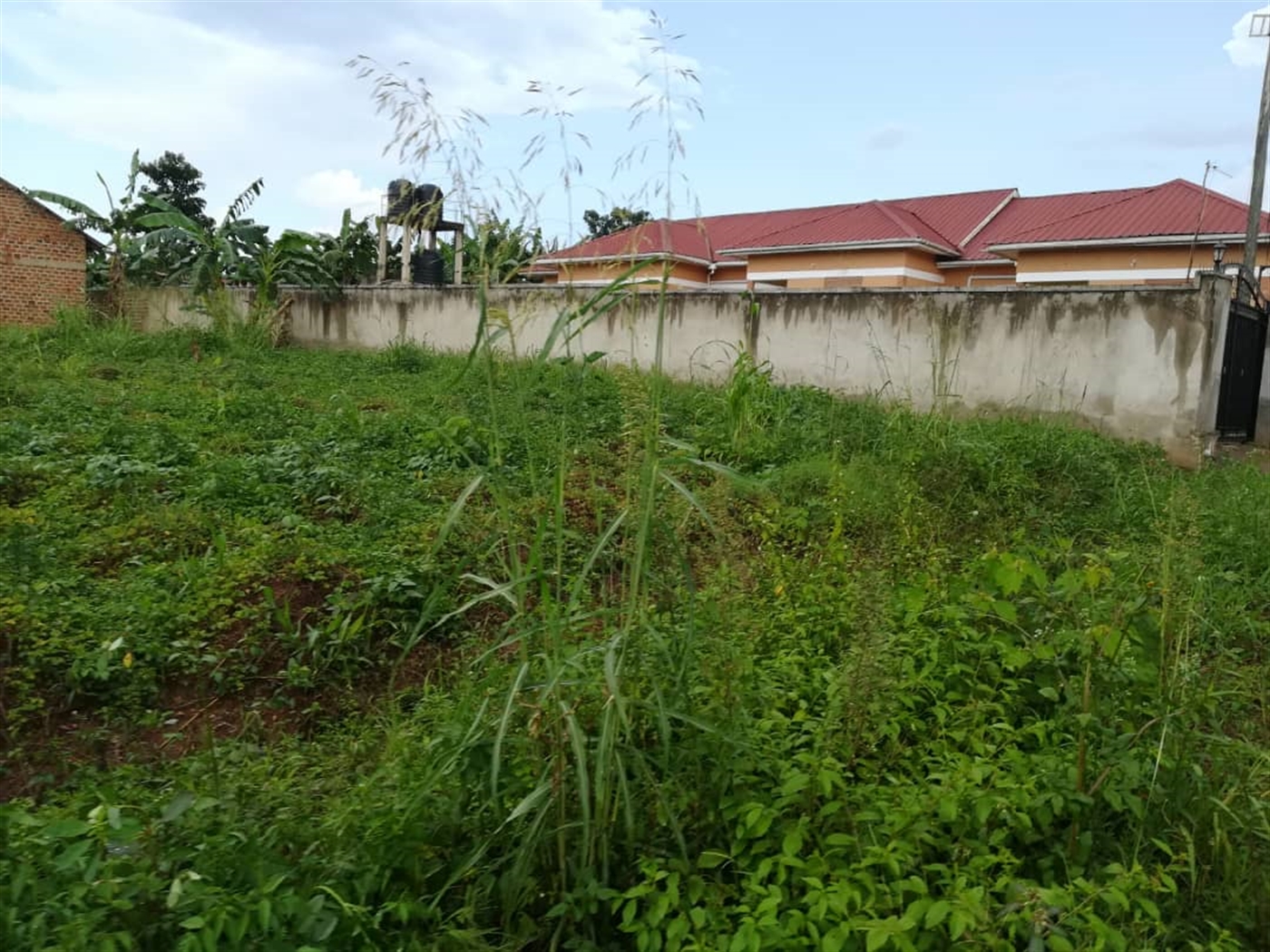 Residential Land for sale in Nsambwe Mukono