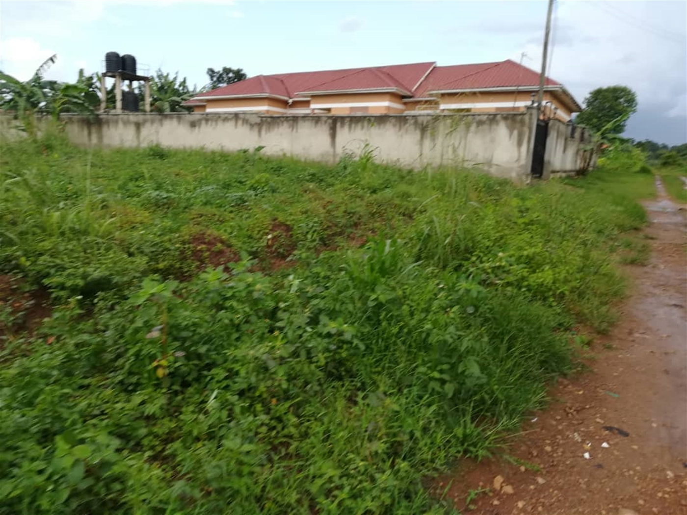 Residential Land for sale in Nsambwe Mukono