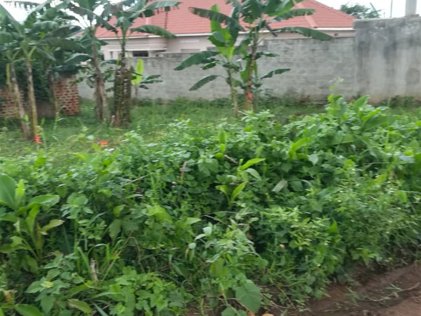 Residential Land for sale in Mpoma Mukono