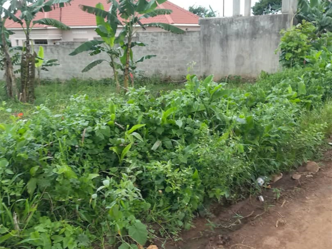 Residential Land for sale in Mpoma Mukono