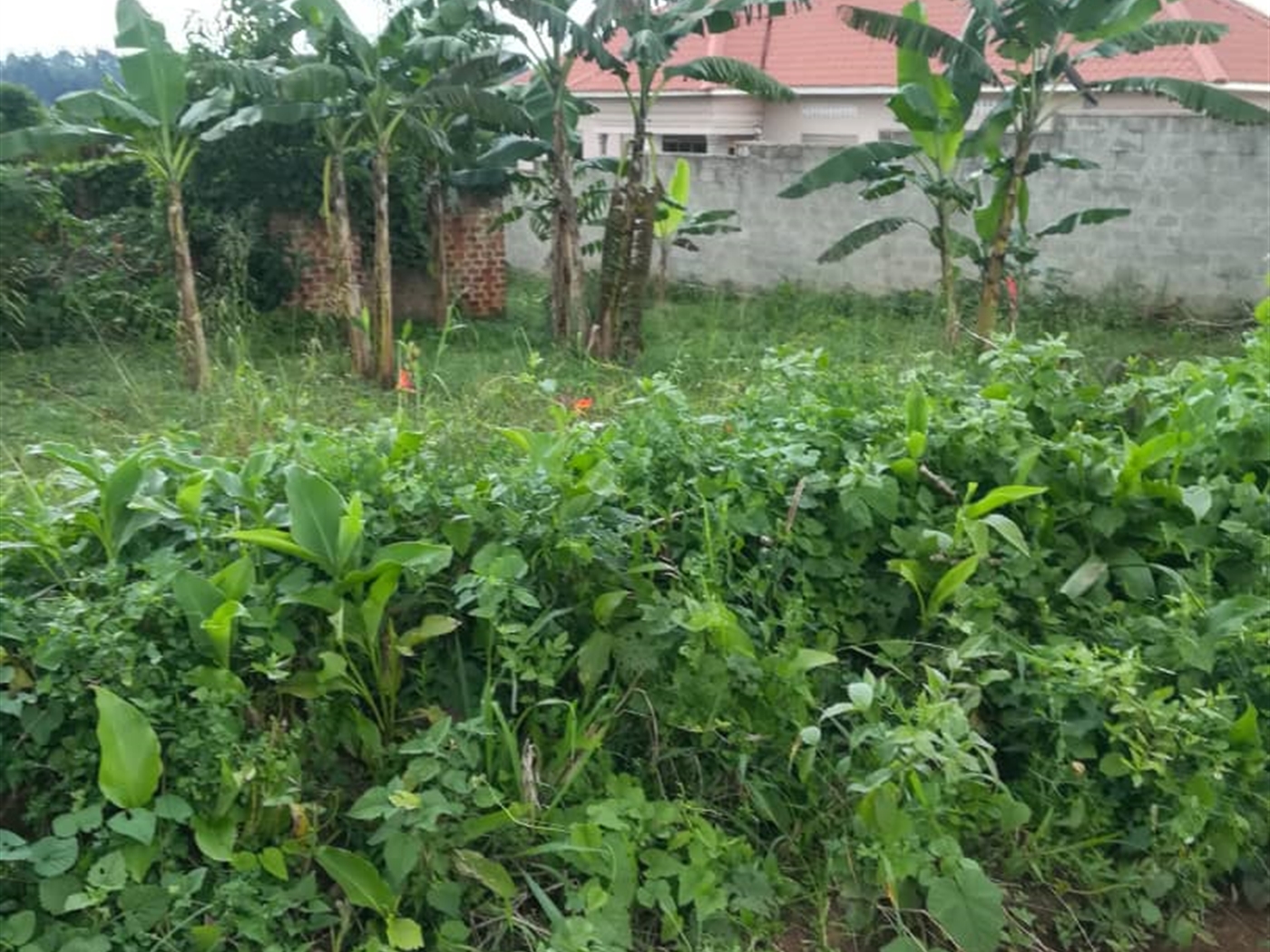 Residential Land for sale in Mpoma Mukono