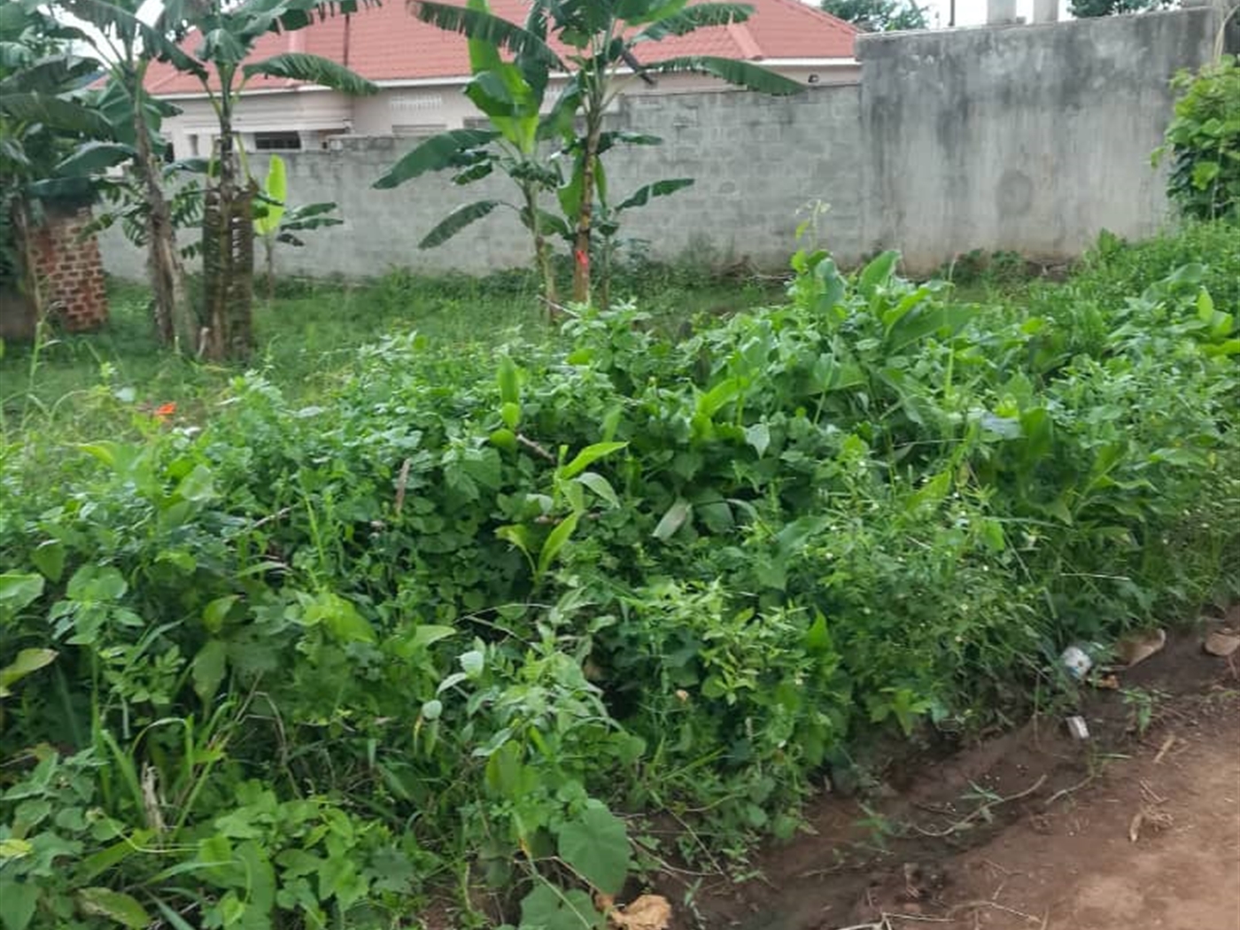 Residential Land for sale in Mpoma Mukono